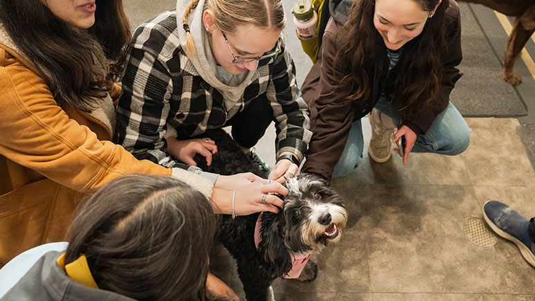Students petting on toe the therapy dogs in the Wicker Wellness Center